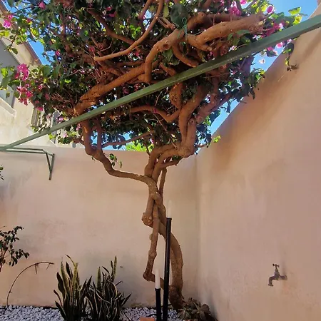 Casa Corte Fiorita